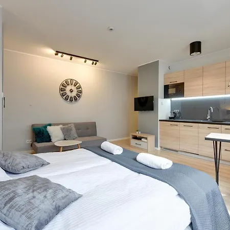 Loft Danzica