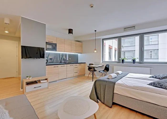 Apartament Loft