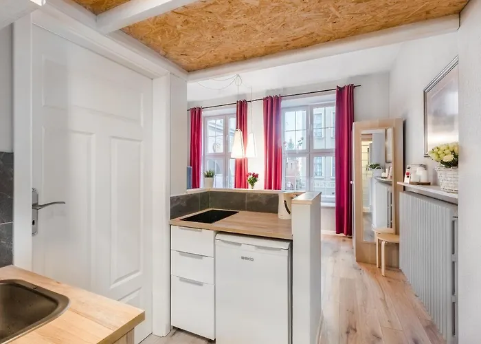 公寓 Loft 格但斯克